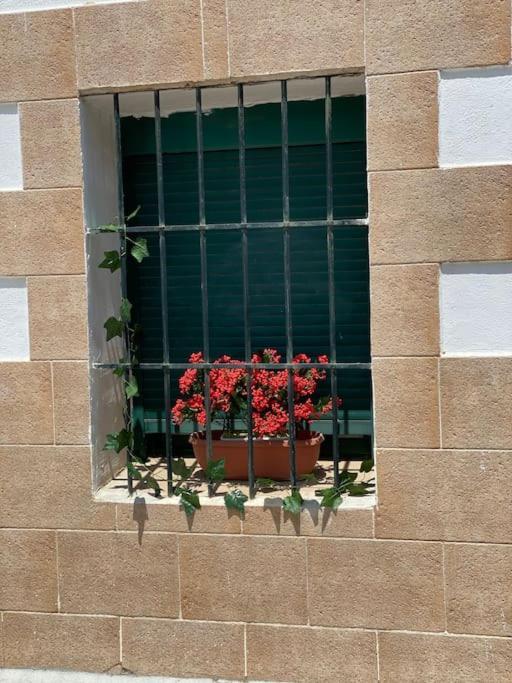 El Rincon Del Rey Lägenhet Torrejon del Rey Exteriör bild